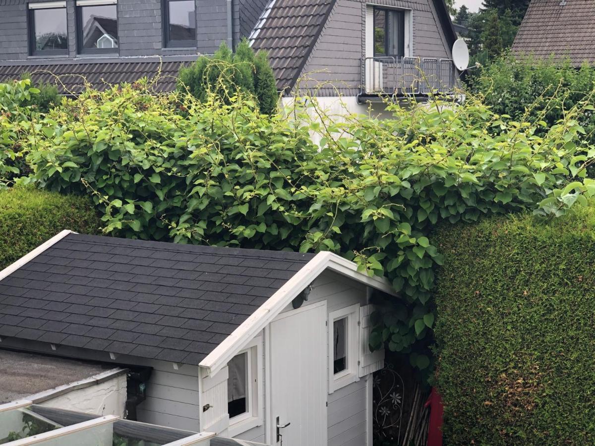 Apartament Bel Art Etage Mit Grossem Parkplatz Haan Zewnętrze zdjęcie